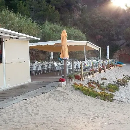 Jenny Holiday home *
